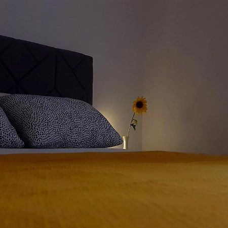 Casa Bella - Vracar Apartment Beograd Bagian luar foto