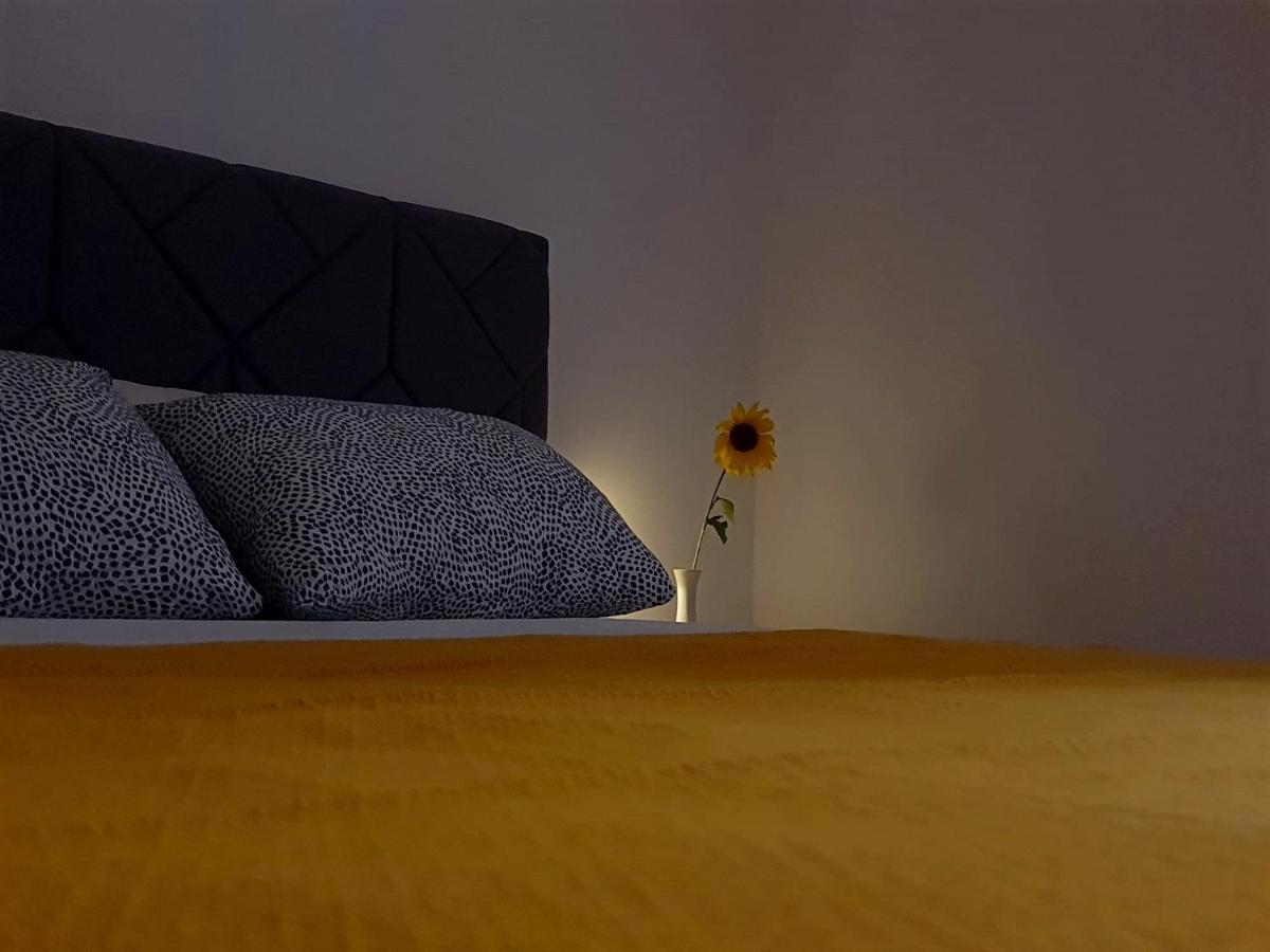 Casa Bella - Vracar Apartment Beograd Bagian luar foto